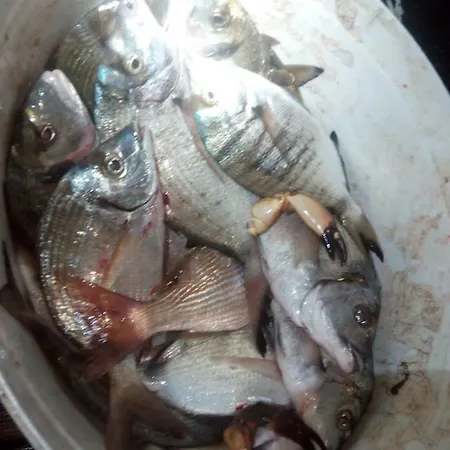 krevet i doručak Dal Pescatore 3*
