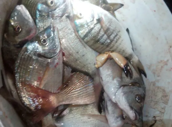 krevet i doručak Dal Pescatore 3*