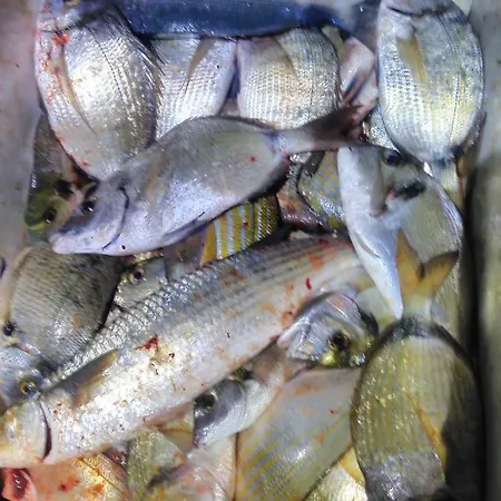 Bed & Breakfast Dal Pescatore 3*