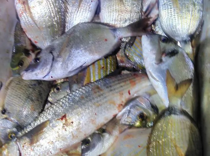 B&B Dal Pescatore 3*